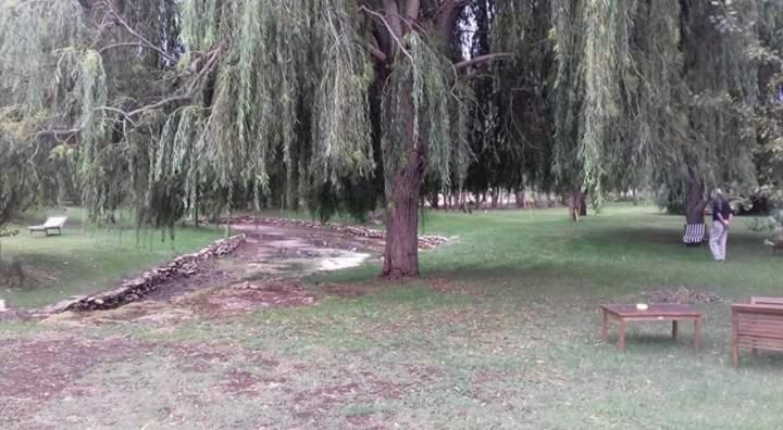 Agriturismo Lupo Cerrino Tarquinia Zewnętrze zdjęcie