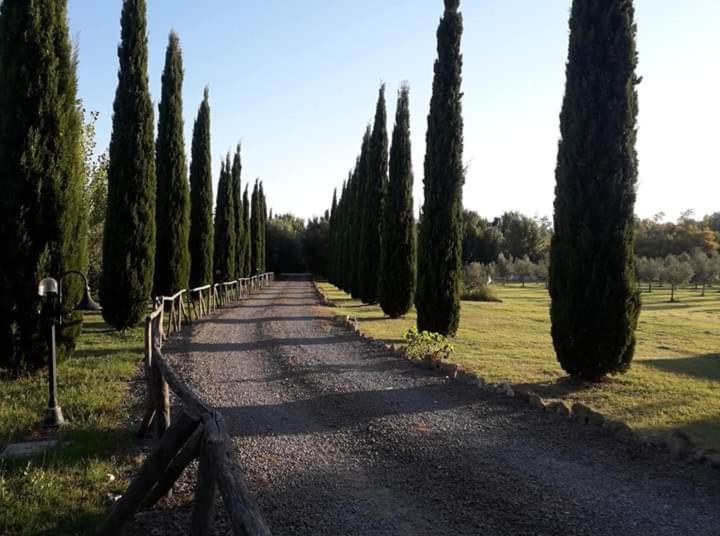Agriturismo Lupo Cerrino Tarquinia Zewnętrze zdjęcie