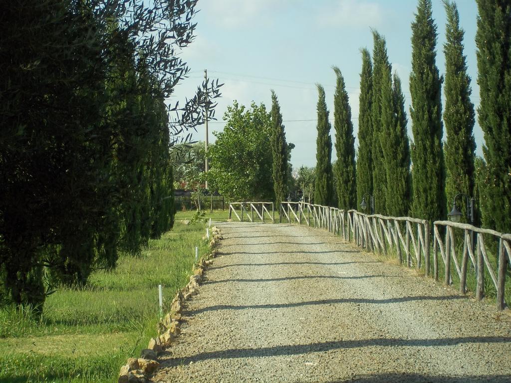 Agriturismo Lupo Cerrino Tarquinia Zewnętrze zdjęcie