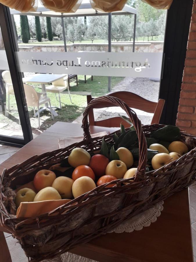 Agriturismo Lupo Cerrino Tarquinia Zewnętrze zdjęcie