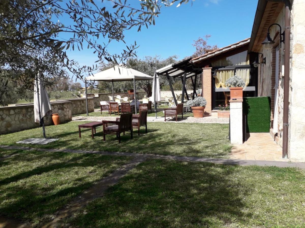 Agriturismo Lupo Cerrino Tarquinia Zewnętrze zdjęcie