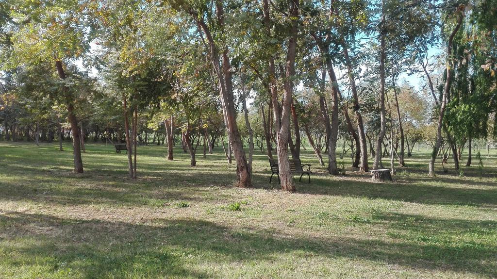 Agriturismo Lupo Cerrino Tarquinia Zewnętrze zdjęcie